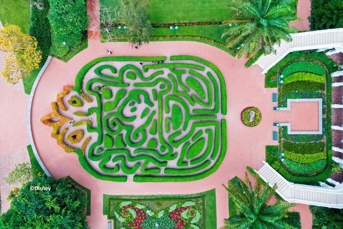 Hong Kong Disneyland Hotel - 2