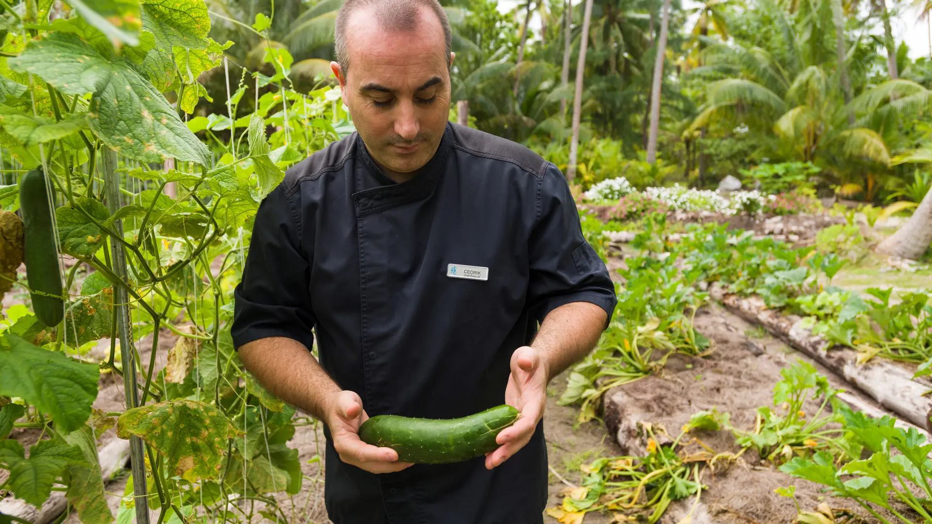 Hotel review Sustainability' - The Brando - 1