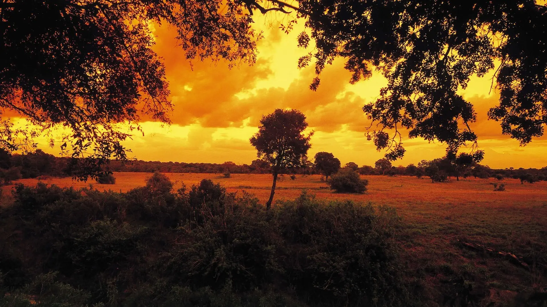 Hotel review Location' - Sabi Sabi Private Game Reserve - 2