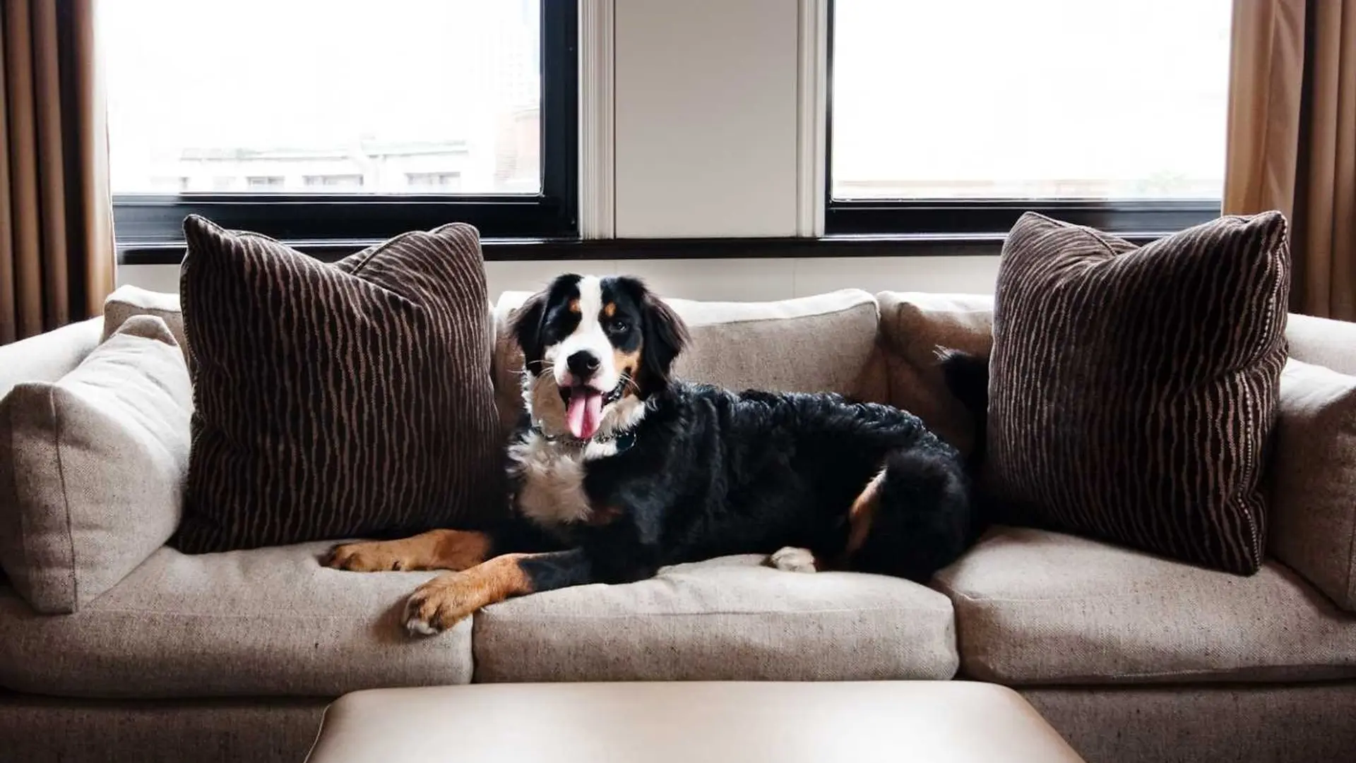 Hotel review What We Love' - XV Beacon Hotel - 0