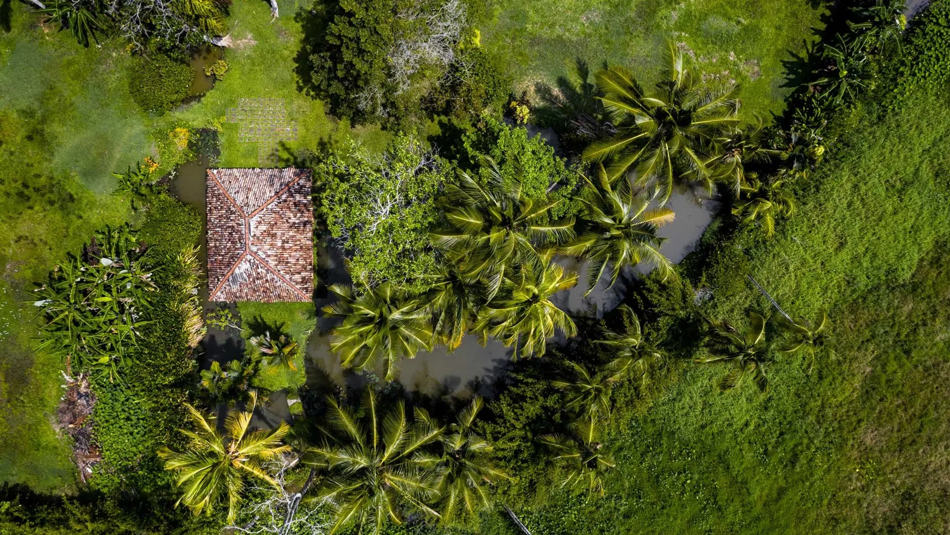 Review of Amangalla - 6