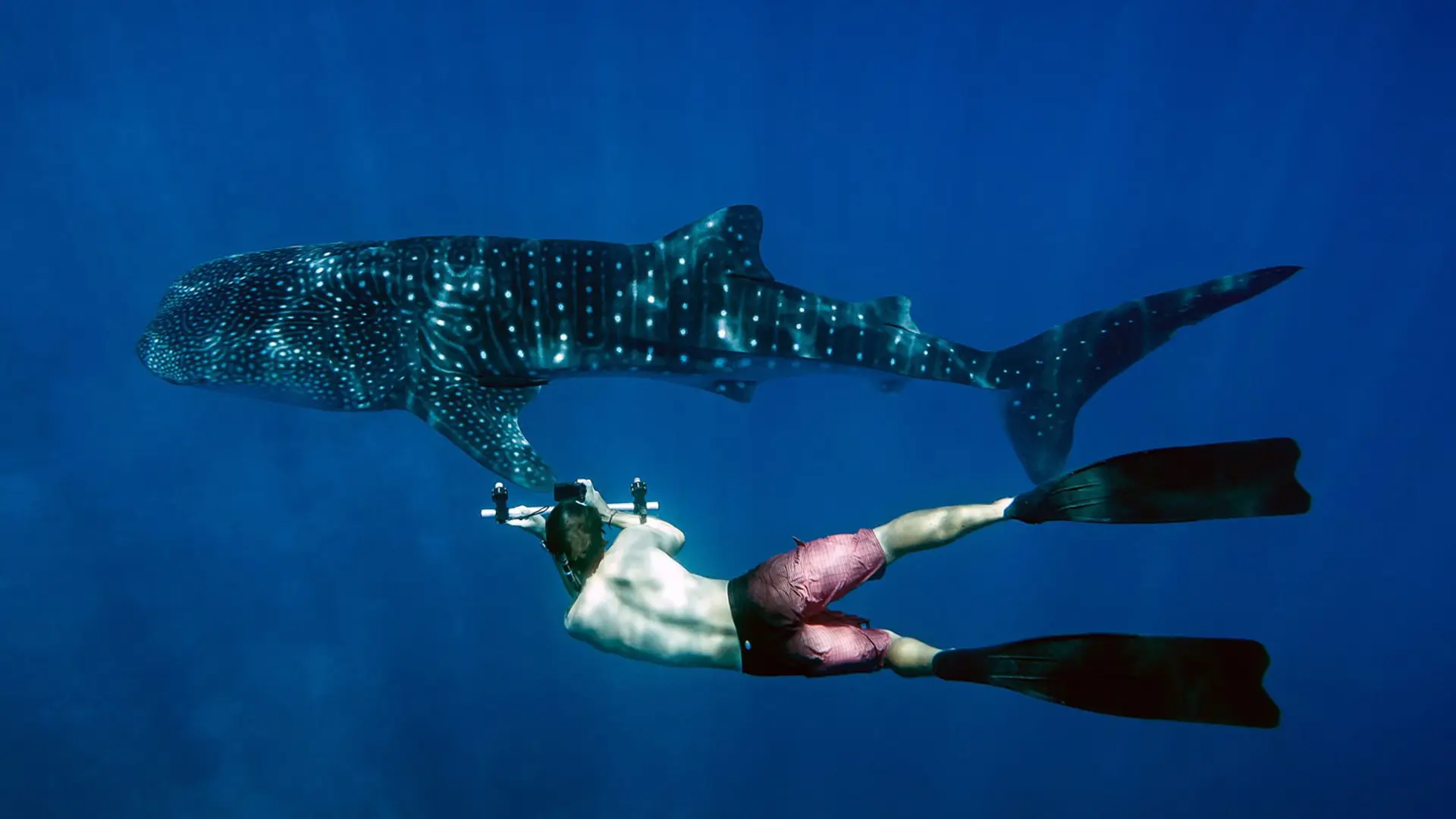 Review of LUX* South Ari Atoll