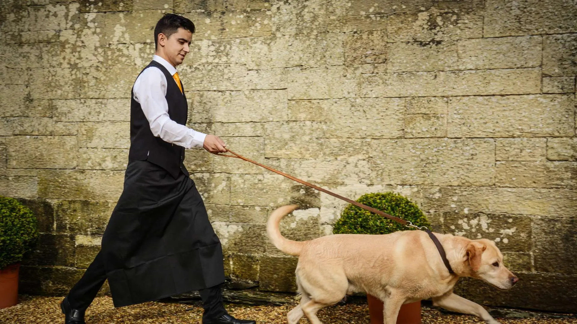 Hotel review Service & Facilities' - Palé Hall Hotel & Restaurant - 2