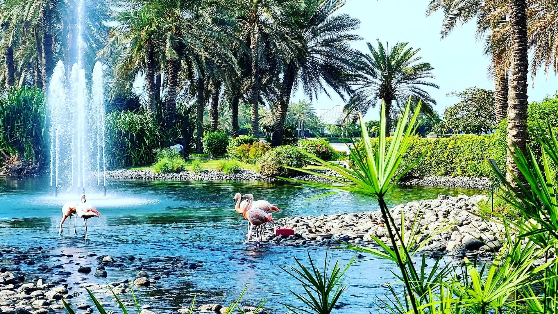 Hotel review Sustainability' - The Ritz-Carlton, Bahrain - 1