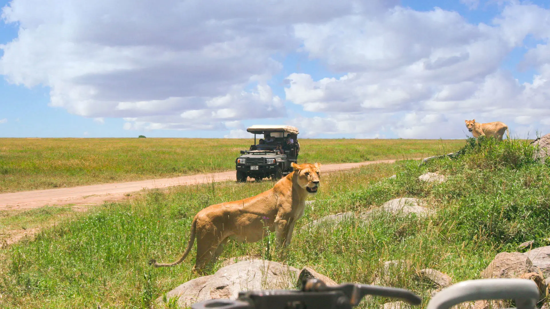 Hotel review Service & Facilities' - One Nature Nyaruswiga Serengeti - 2