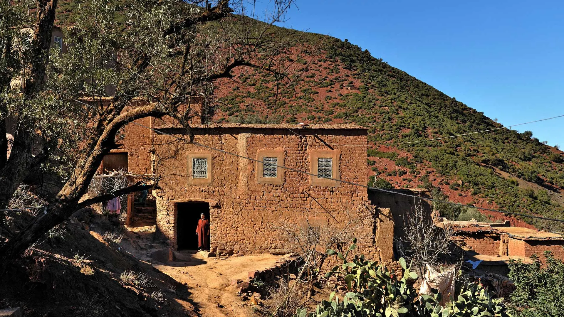 Hotel review Service & Facilities' - Amanjena - 9