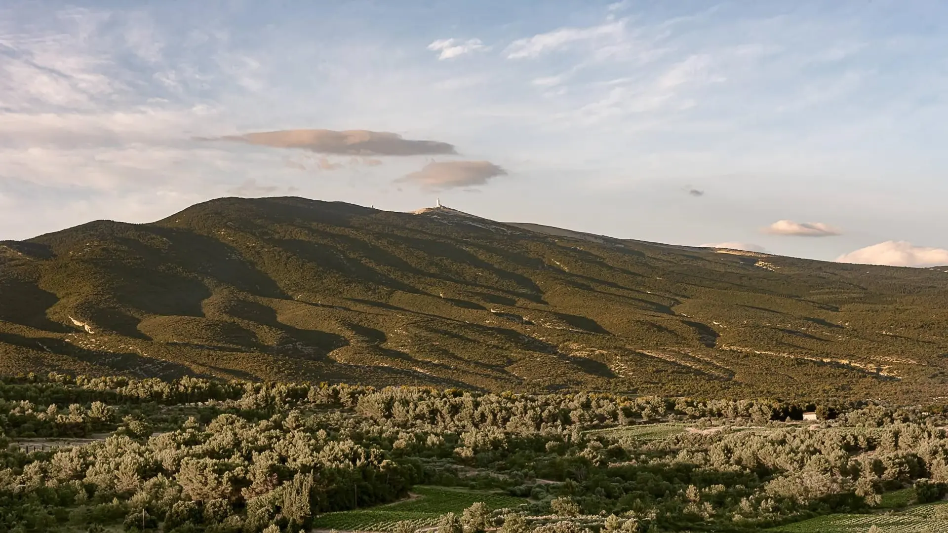 Hotel review What We Love' - Hôtel Crillon le Brave - Provence - 0