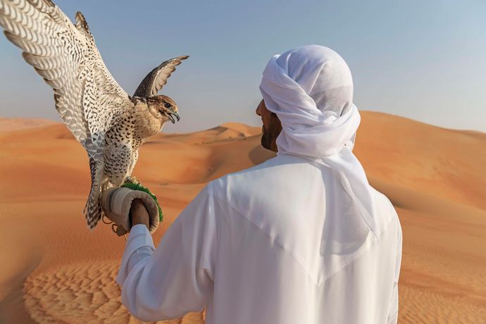 Verified hotel review - Anantara Qasr Al Sarab Desert Resort - 30