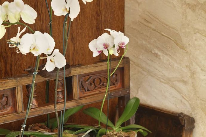 Verified hotel review - Miramar Hotel by Windsor - 26