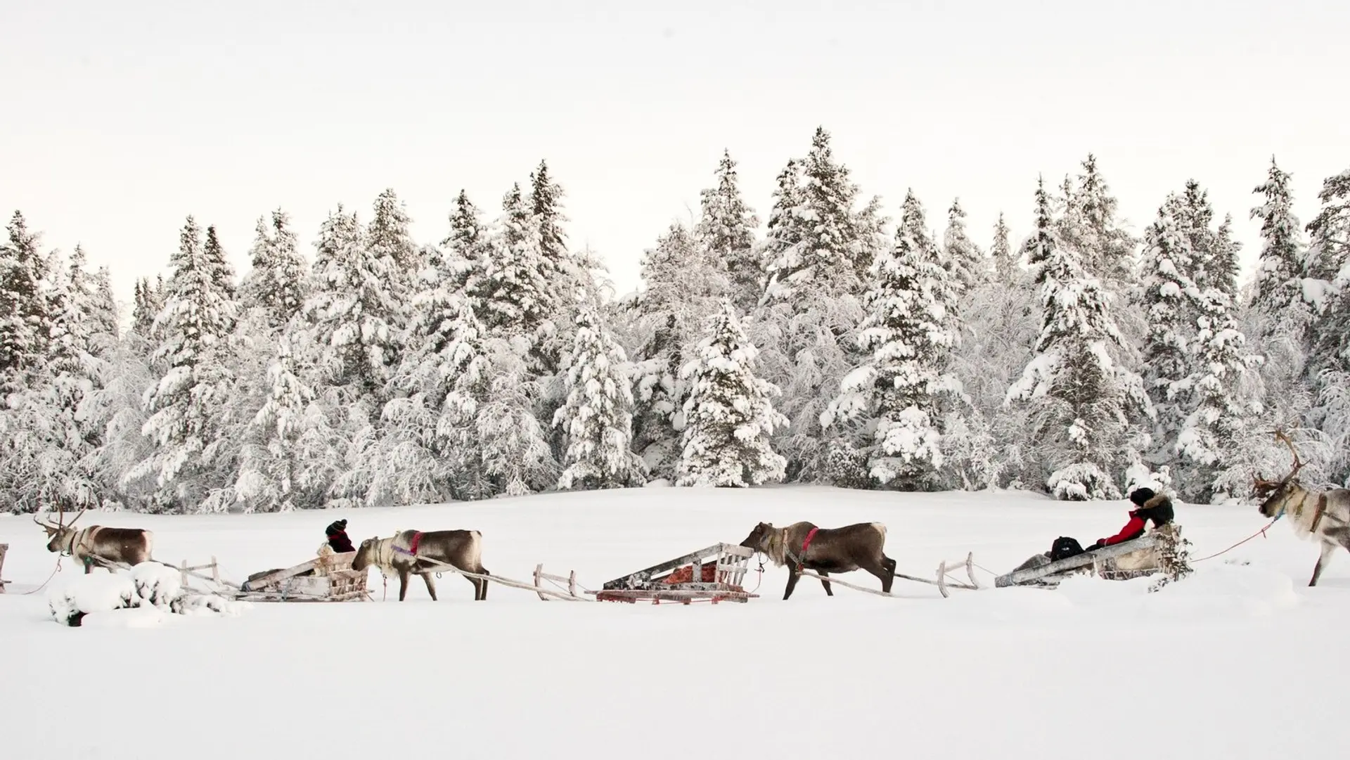 Review of Kakslauttanen Arctic Resort - Igloos and Chalets - 5