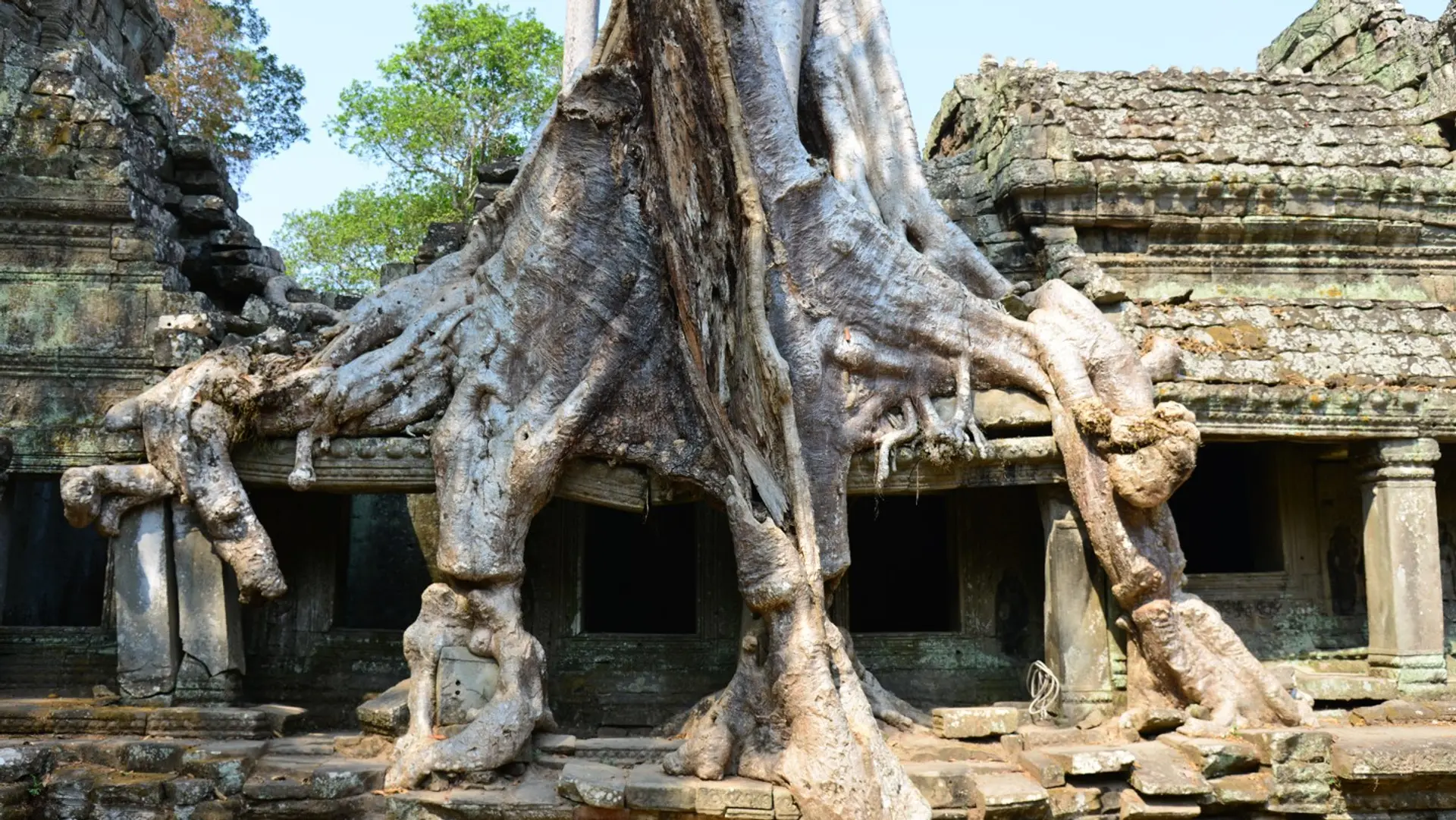 Hotel review Service & Facilities' - Amansara - 10