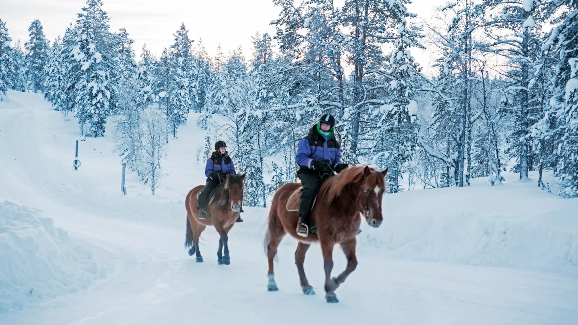 Hotel review Service & Facilities' - Kakslauttanen Arctic Resort - Igloos and Chalets - 2