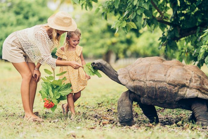 Verified hotel review - Four Seasons Resort Seychelles at Desroches Island - 21