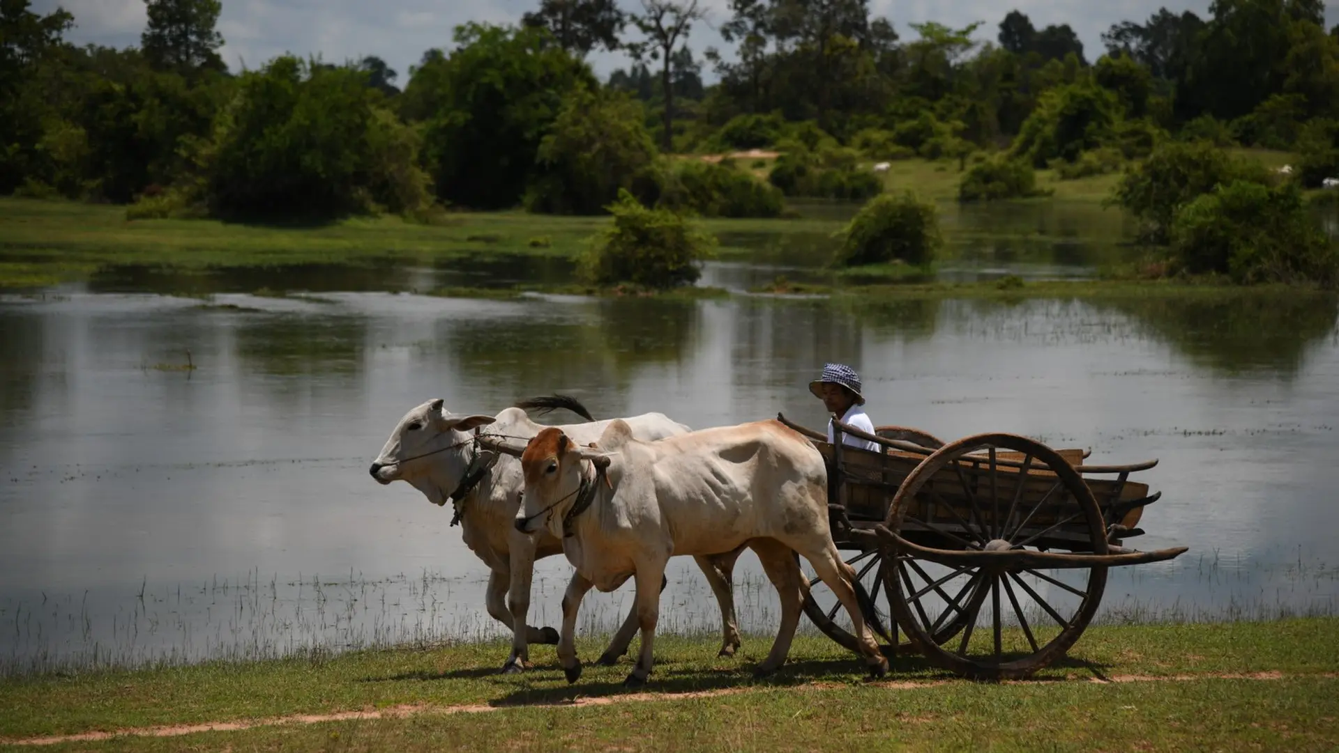 Hotel review Location' - Amansara - 1