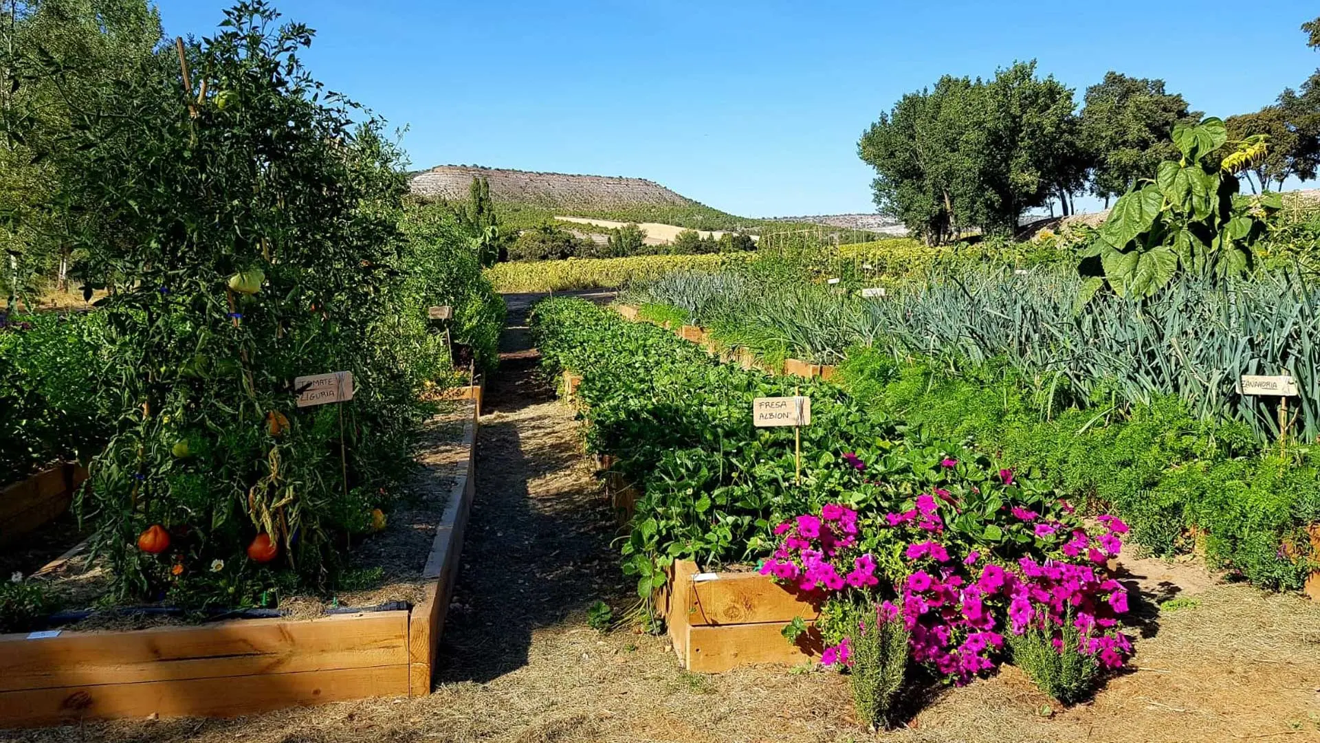 Hotel review Sustainability' - Abadia Retuerta LeDomaine - 2