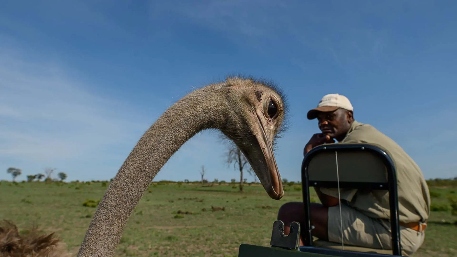 Hotel review Service & Facilities' - Sabi Sabi Private Game Reserve - 2