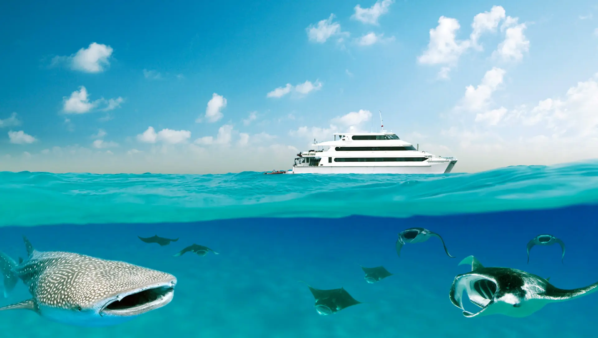 Review of Four Seasons Explorer Maldives - 8