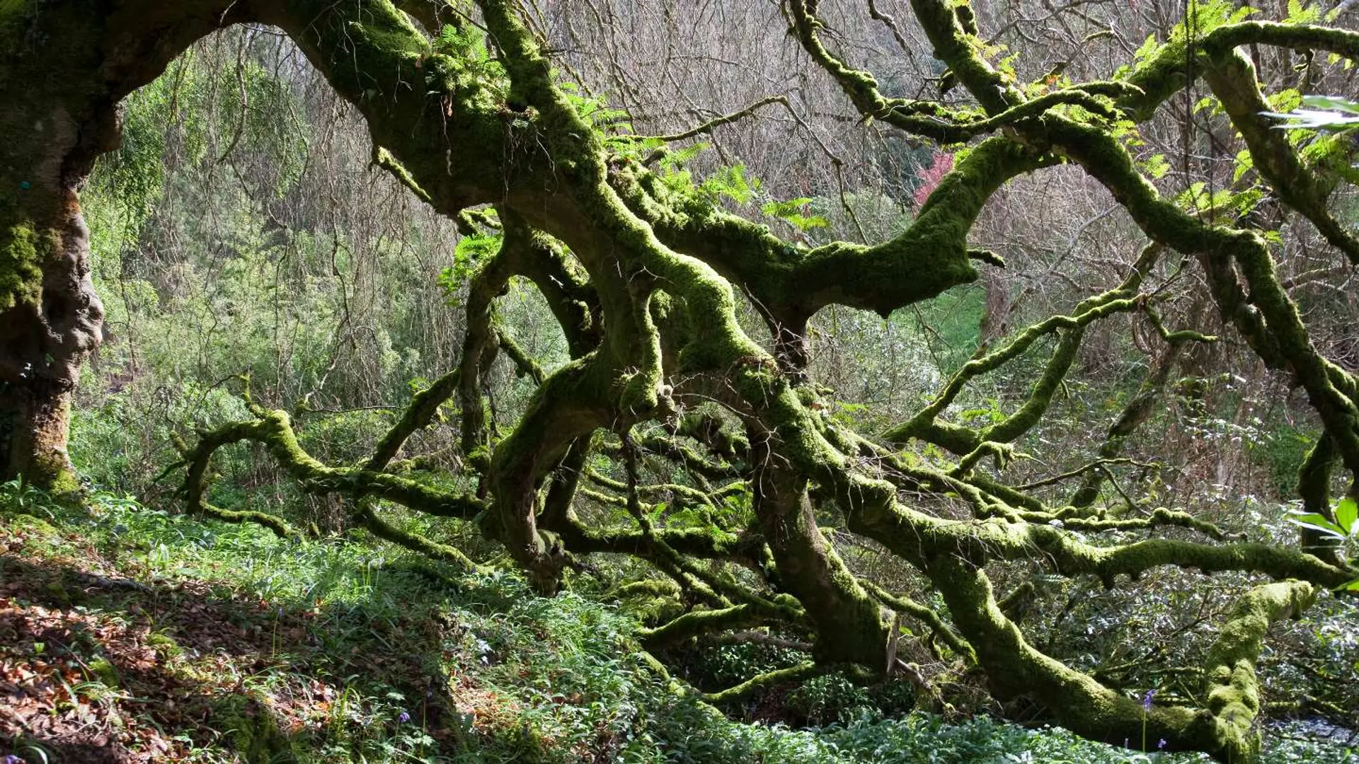 Hotel review Sustainability' - Hotel Endsleigh - 1