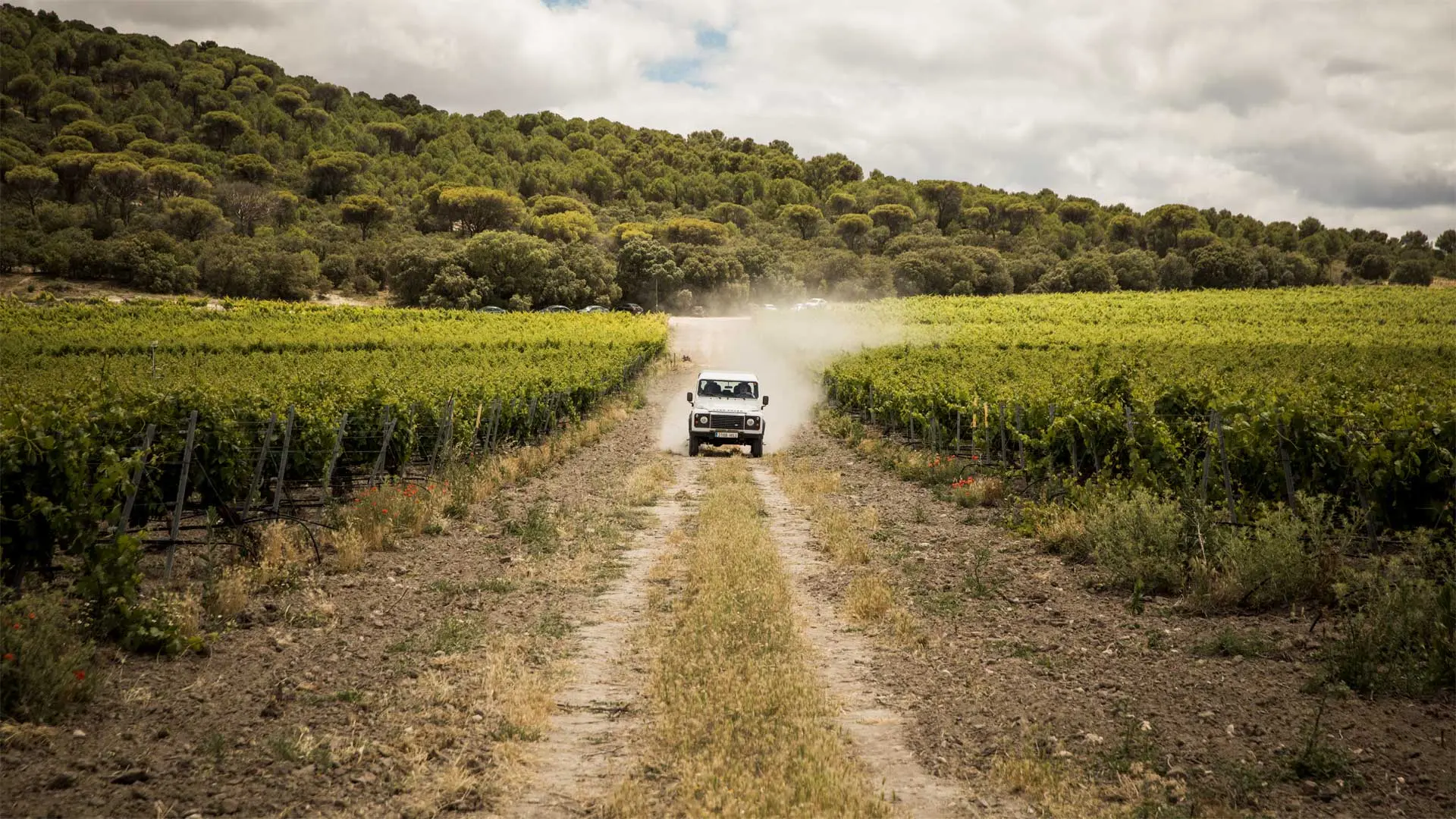 Review of Abadia Retuerta LeDomaine - 6