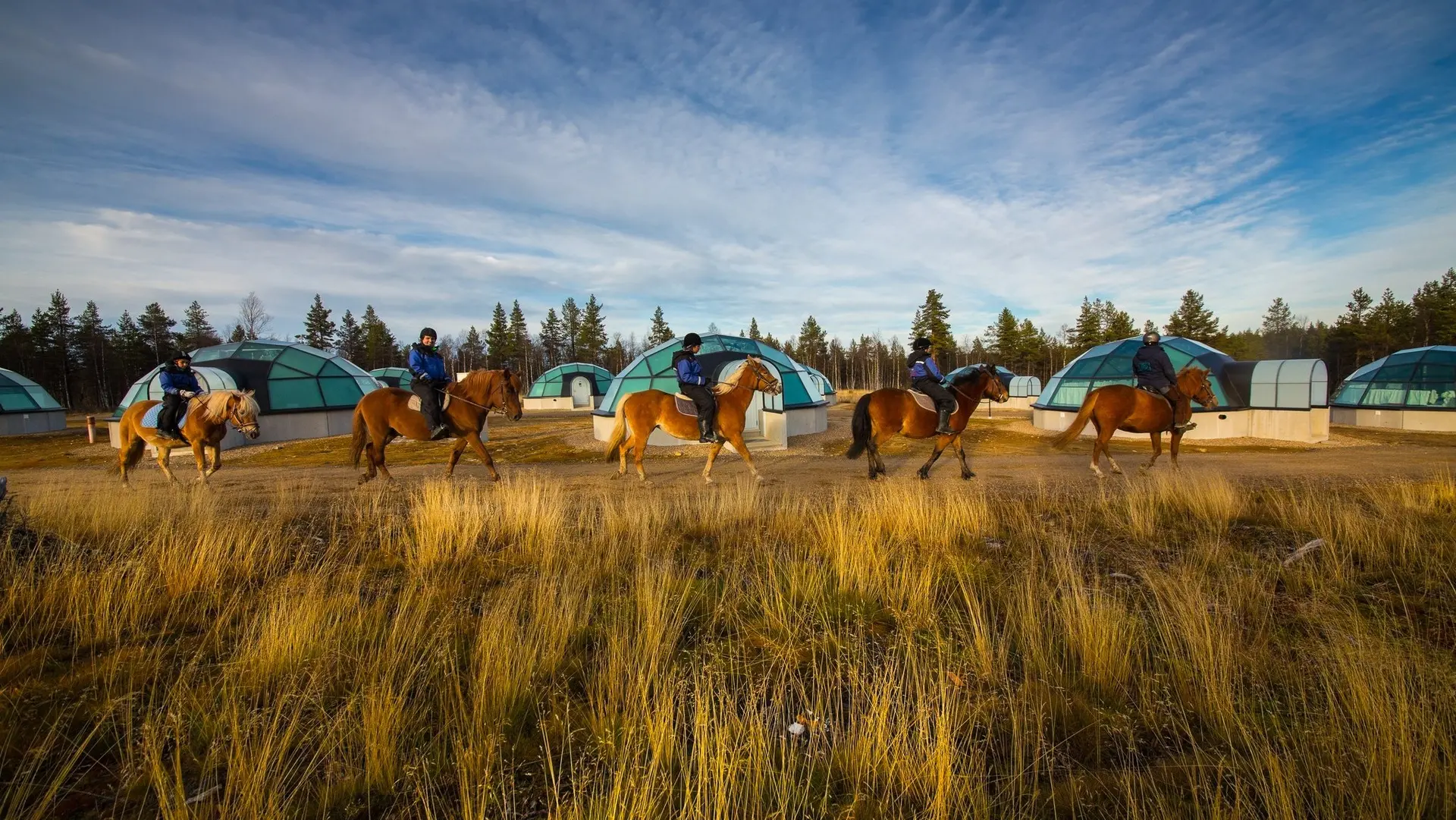 Hotel review Service & Facilities' - Kakslauttanen Arctic Resort - Igloos and Chalets - 11