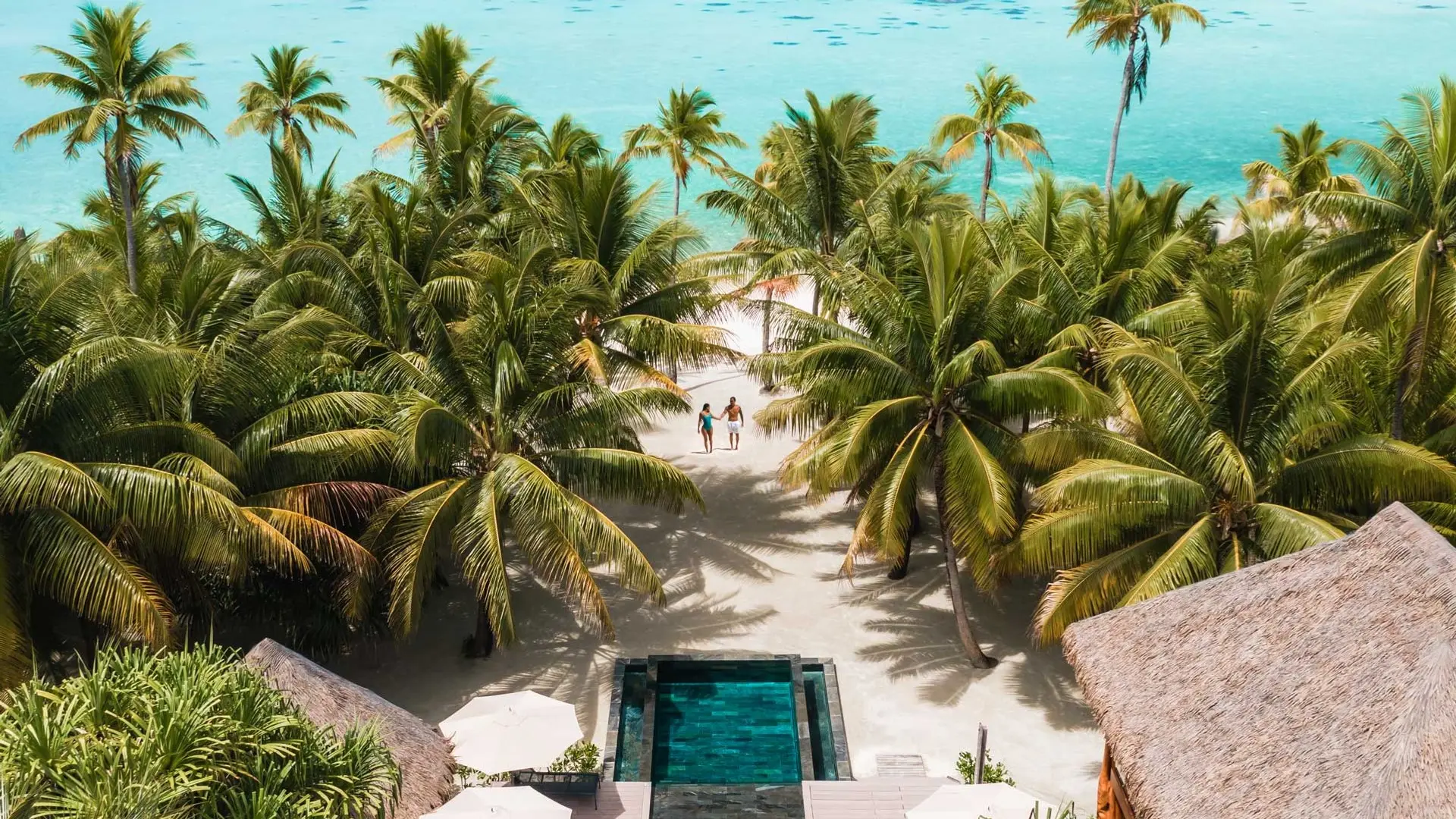 Review of The Brando - 2