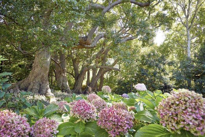 Verified hotel review - The Cellars-Hohenort - 59