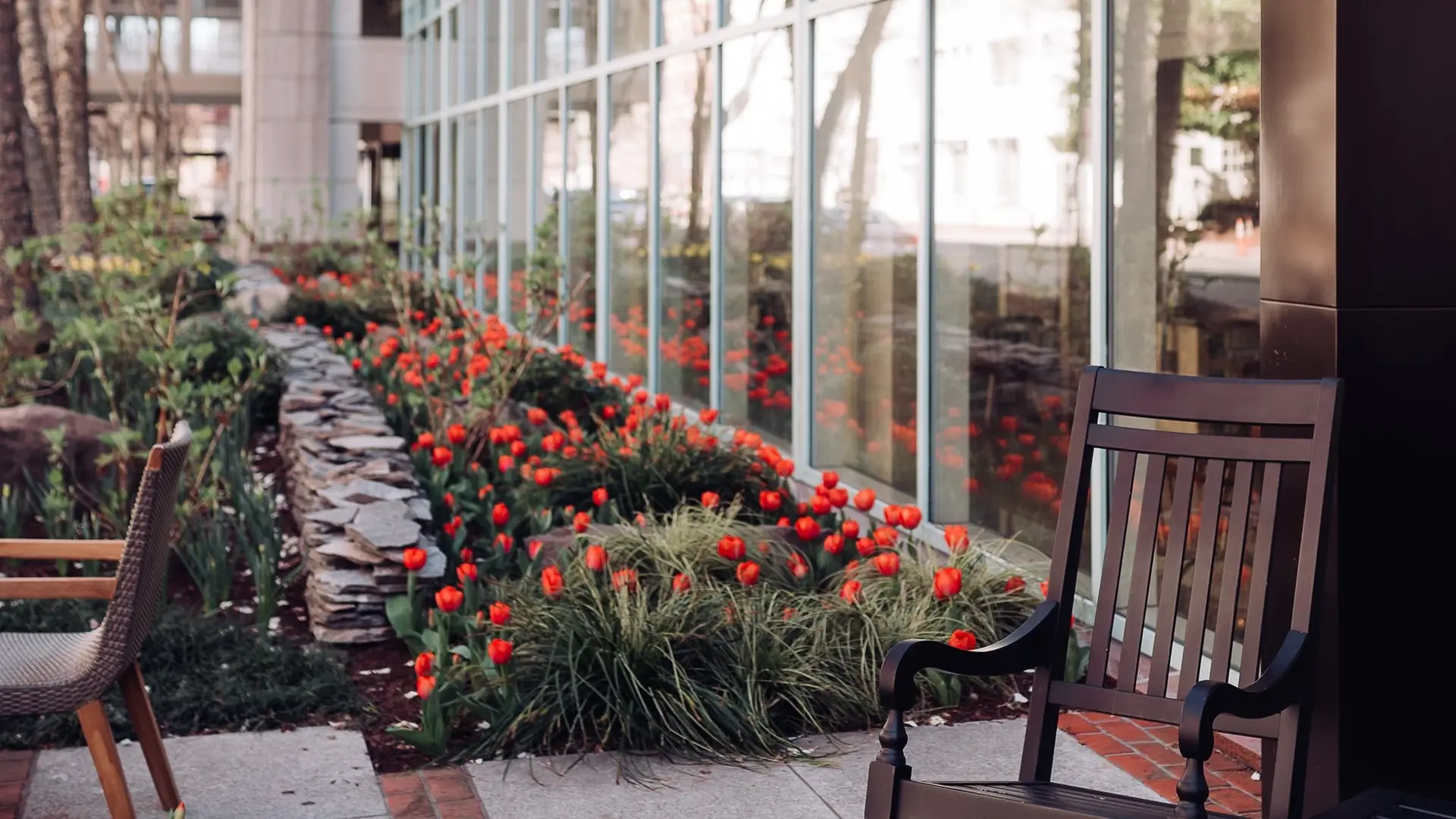 Hotel review Sustainability' - Park Hyatt Washington - 0