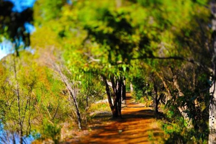 Verified hotel review - Cape Lodge - 20