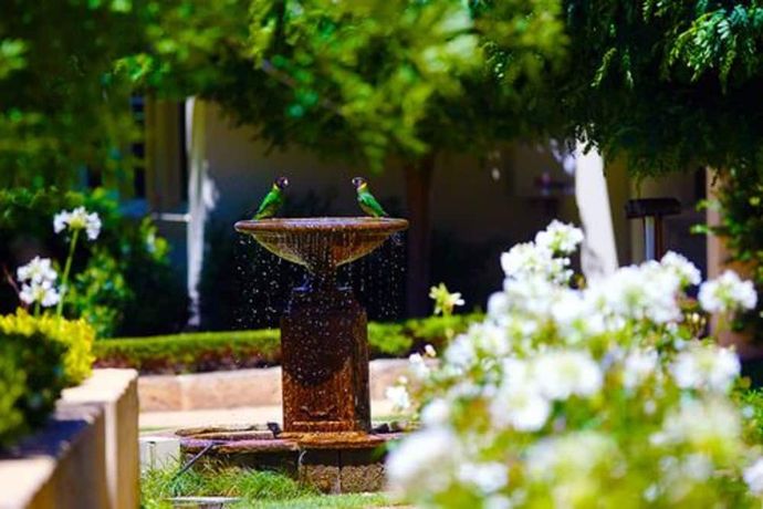 Verified hotel review - Cape Lodge - 26