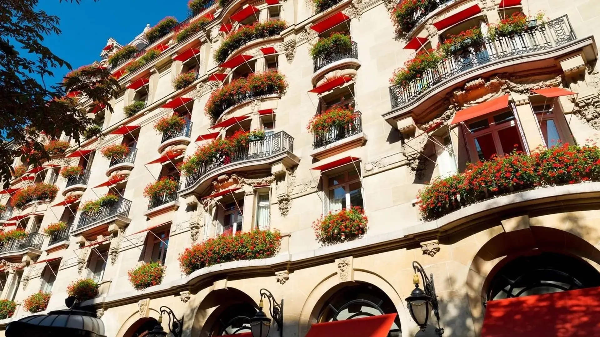 Review of Hôtel Plaza Athénée Paris - 8